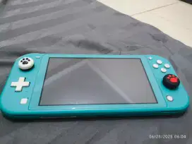 Nintendo Switch Lite Costum