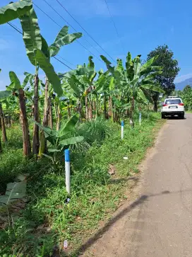 TANAH DIJUAL CEPAT MURAH 480 rb ( SHM ) PINGGIR JALAN BESAR 2380 METER