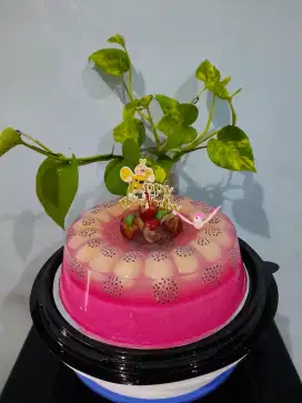 Puding enak dimulut rasanya bikin nagih