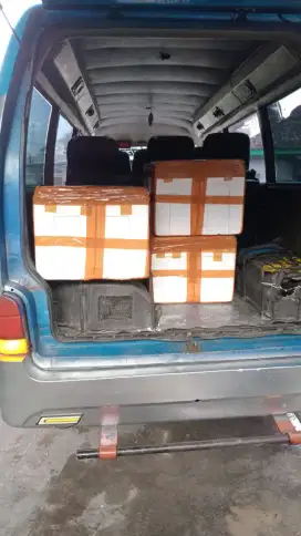 Produsen Daging Durian Termurah Berkualitas