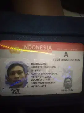 Butuh lowongan apa aja