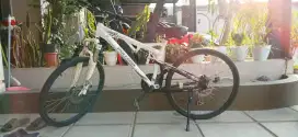 Sepeda Polygon Broadway 3.0