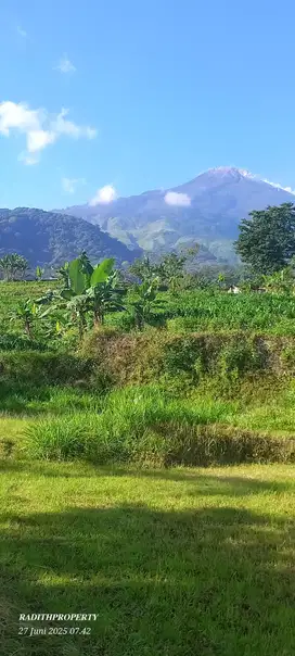 JUAL TANAH KAWASAN VILLA PACET PUNCAK TERTINGGI