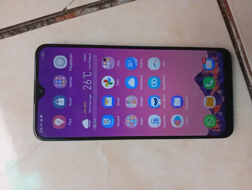 Vivo Y17 ram 4 mulus