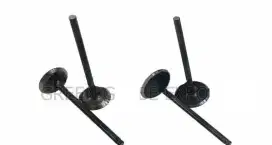 Cari Intake Valve KTM Duke 200 2017