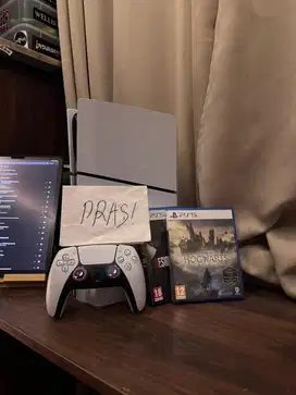 ps 5 disk indo version