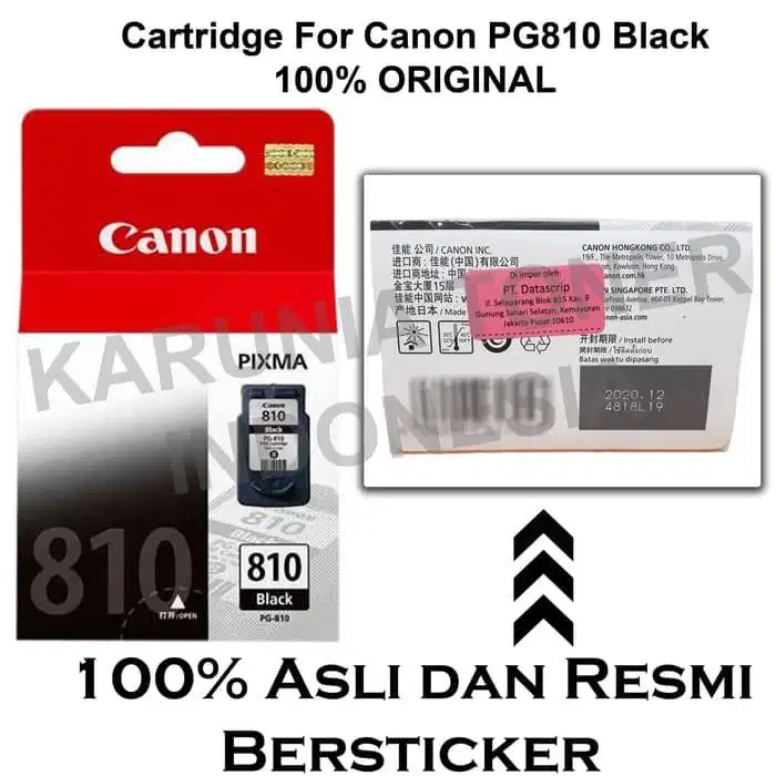 Cartridge Original Canon PG810 810 Black