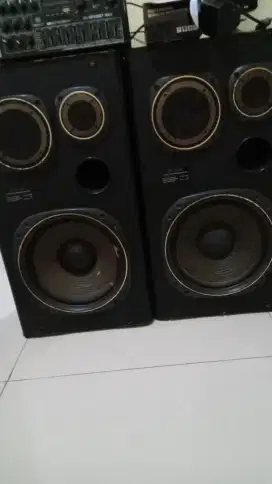 Speaker polytron 10 in sepasang.