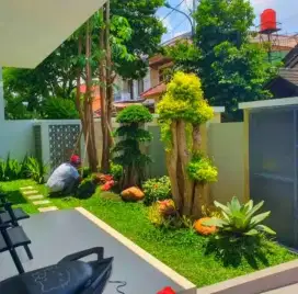 Taman minimalis alami