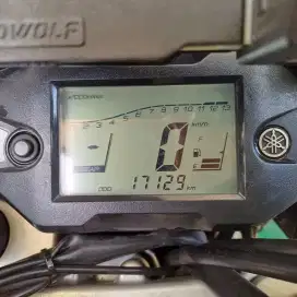 Yamaha WR155R Supermoto