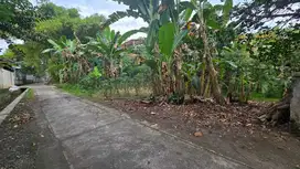Tanah Murah Siap Bangun di Telukan Grogol Sukoharjo
