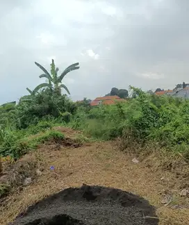 Tanah Kayu Tulang Selatan Canggu