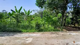 Tanah kebun murah di bogor