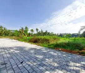 Lahan Tawangsari Dekat Kampus UAD 4