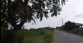Jual Tanah Murah Untuk Perumahan atau Komersial Di Muara Gembong Bekas