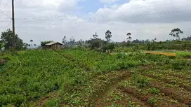 JUAL CEPAT TANAH CIWIDEY BANDUNG SELATAN