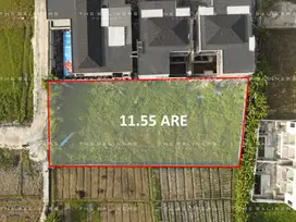 EXCEPTIONAL CEMAGI LEASEHOLD LAND OFFERING