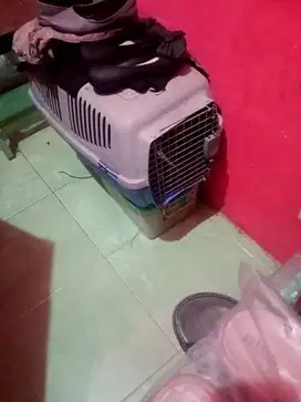 Kandang bawa kucing