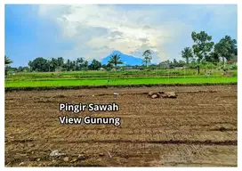 Cantik Pingir Sawah View Gunung, Tanah Di Jalan Palagan Mlati