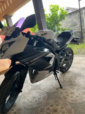 Ninja RR Mono tahun 2014