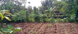 Kavling Free SHM 30x Cicilan Tanpa Bunga 1 Menit Puskesmas Tamansari