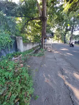 Tanah lokasi premium di jalan Pemuda kota Mataram