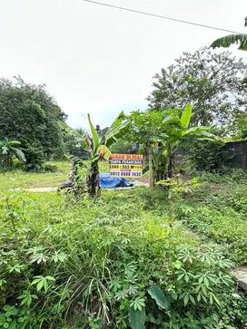 jual tanah jaban sleman