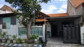 Dijual Murah Rumah Kotabaru Driyorejo, SHM, 400 juta nego ( BU )