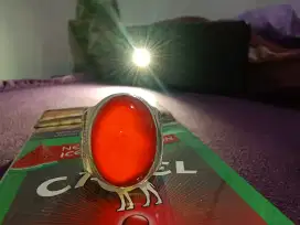 Red Raflesia/Red Fanta 100% Natural Jual/Barter Garut/Bacan/BO Banten