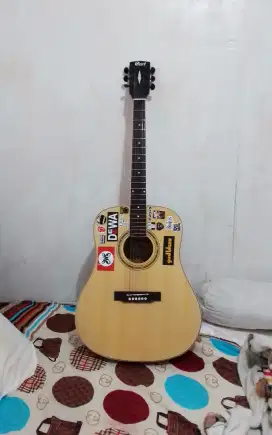 gitar cort ad 810 custom (minus)