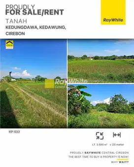 Jual dan Sewa Tanah Sawah di Kedungdawa, Kedawung, Cirebon