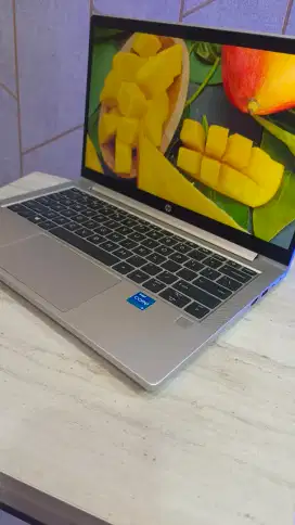 Laptop Bisnis Hp probook 430 g8 ( Ready 5 pcs  )