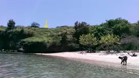 RARE ELEVATED BEACHFRONT LAND FOR FREEHOLD SALE IN SUMBAWA – BM500