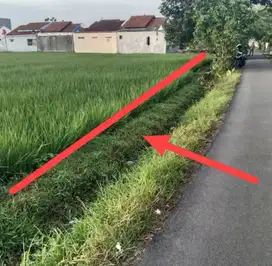 TANAH SHM SAMPING PERUMAHAN DAN CLUSTER DEKAT JALAN RINJANI CILACAP