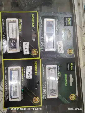 SSD NVME copotan