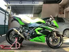 Ninja 250 SL RR MONO 2014 KLIMIS