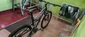 Sepeda Polygon Siskiu D5