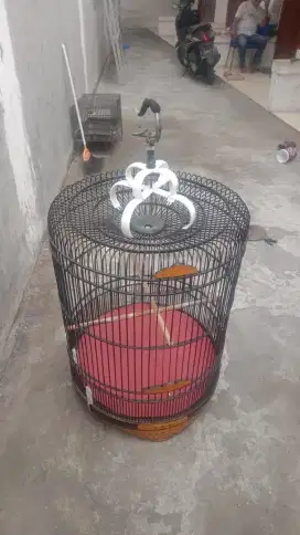 Sangkar burung murai , Poksay , Kacer