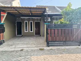 Rumah Adimas sobo Banyuwangi kota