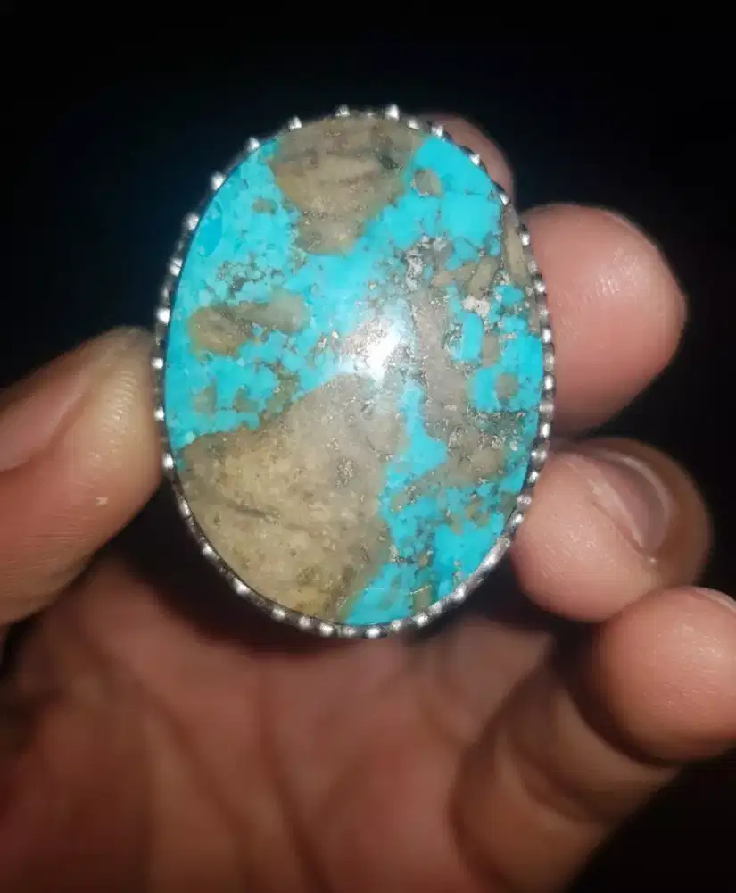 PIRUS PERSIA JUMBO