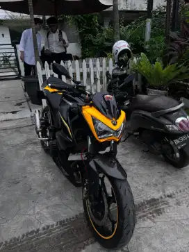 Kawasaki Z250 2013