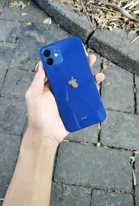 iPhone 12 iBox 128Gb Fullset Ori