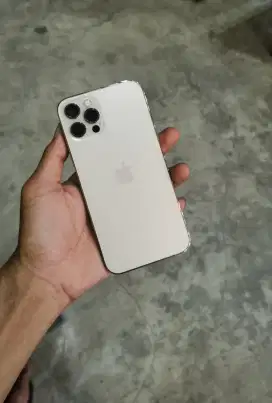 iPhone 12Pro 256Gb iBox Fullset Ori