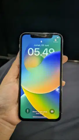 Iphone X 256gb inter