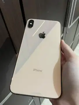 Iphone Xs Max 64gb ex Inter