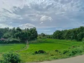 View Sawah & Bukit, Mulai 900 Rb-an Kavling SHM Bekasi
