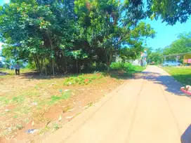 50 Meter Jl. Raya Mampir Cileungsi, Kavling Promo 1 Jt-an/m2
