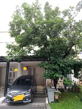 Jual rumah 3 kamar semi furnish Cluster Thomson, Gading Serpong
