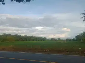 Dijual tanah SHM , Murah , Kabupaten Lampung Tengah Propinsi Lampung