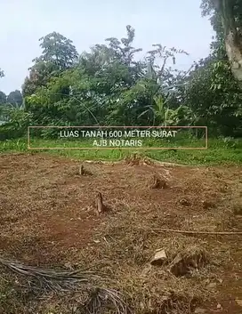 TANAH MURAH TANAH DARAT DI JL RAYA BOGOR KEMANG PARUNG KABUPATEN BOGOR